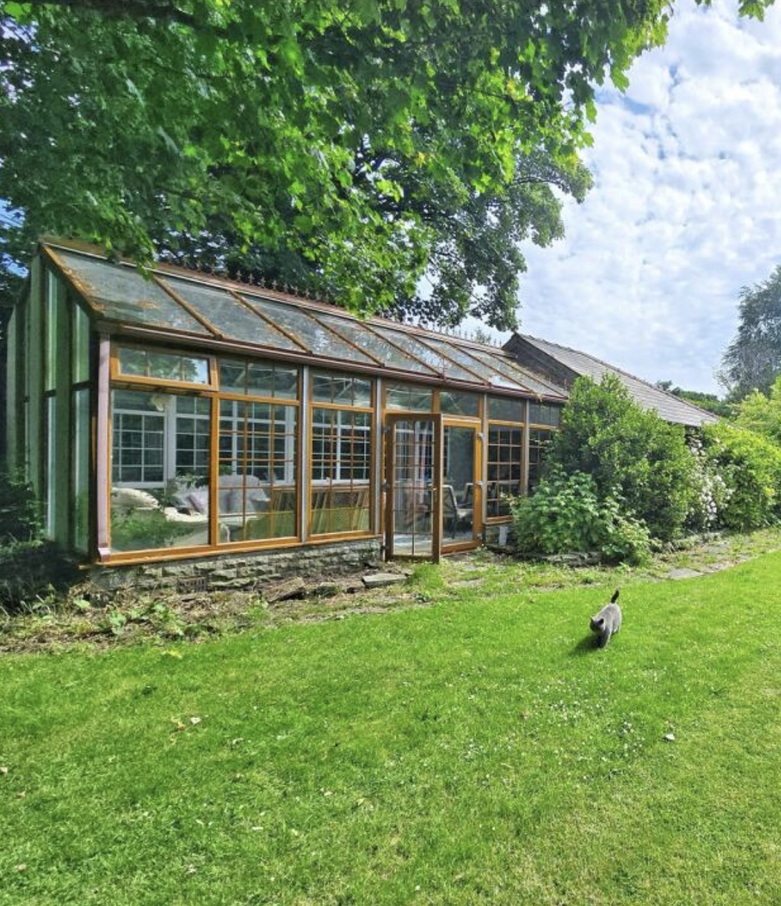 Rear conservatory with timber frames set in the garden